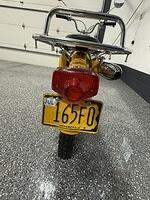 IMG 3282