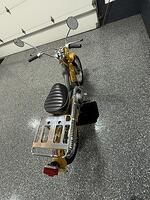 IMG 3286